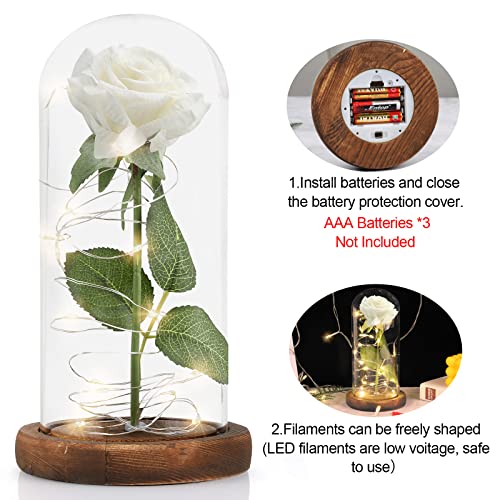 Rosa Eterna, MOOKLIN ROAM Bella y la Bestia Rosa de Seda y luz LED con Cúpula de Cristal y Base de Madera, Regalo Sorpresa para Día de San Valentín Día de la Madre Cumpleaños Aniversario Boda - Blanco