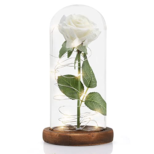 Rosa Eterna, MOOKLIN ROAM Bella y la Bestia Rosa de Seda y luz LED con Cúpula de Cristal y Base de Madera, Regalo Sorpresa para Día de San Valentín Día de la Madre Cumpleaños Aniversario Boda - Blanco