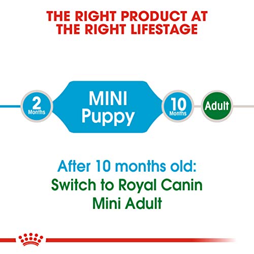 Royal Canin C-08334 S.N. Mini Junior - 4 Kg