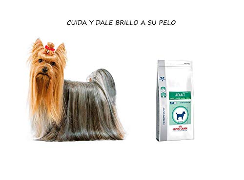 RoyalCanin Adult Small Dog 4 kg Especial Razas Minis y Pequeñas | Pienso Gastrointestinal para Perros Adultos con Problemas Digestivos y Bucales | Comida Intestinal Seca Que Elimina el Sarro Dental