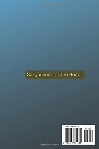 Sargassum on the Beach