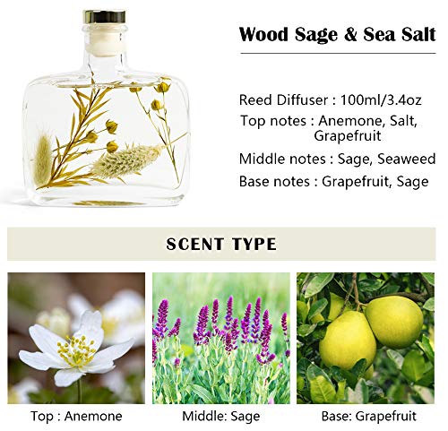 Scent-Hi Difusor de Fragancia para el hogar con aceites Esenciales de Salvia y Sal Marina de 100 ml con 6 Varillas aromáticas para Dormitorio, difusor de decoración Fragancia Regalo