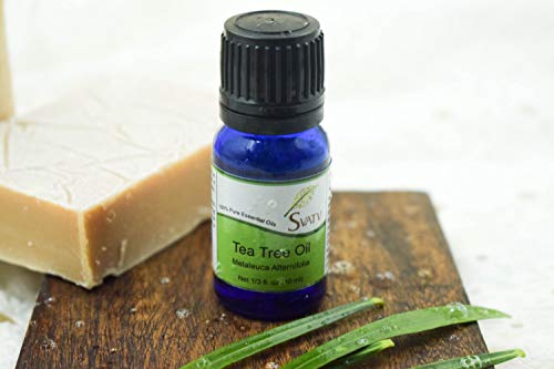 SVATV Árbol de té / Tea Tree Aceite Esencial de Grado Terapéutico Aceites de Aromaterapia Aceite de Fragancia para Difusor Yoga Masaje y Cuidado Personal DIY 10ml