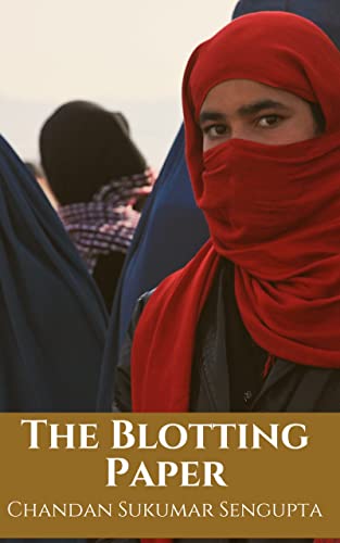 The Blotting Paper (English Edition)