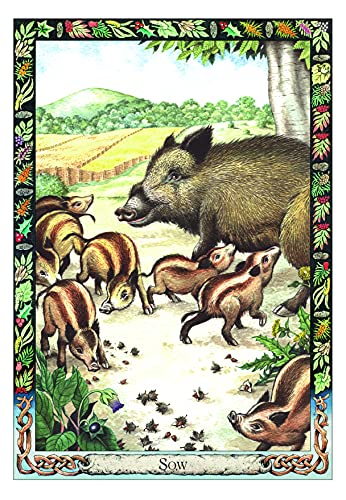 The Druid Animal Oracle Deck