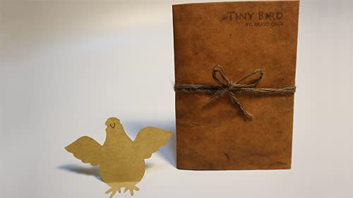 The Lord Of The Magic Tiny Bird (Gimmick and Online Instructions) by Hugo Choi - Trick