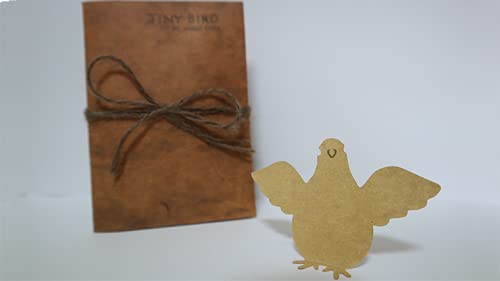 The Lord Of The Magic Tiny Bird (Gimmick and Online Instructions) by Hugo Choi - Trick