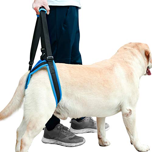 Tineer Dog Lift Arnés para piernas traseras Soporte para Mascotas Arnés Cabestrillo Trasero Ayuda Piernas débiles Levántate Soporte Arnés de Equilibrio para Artritis Rehabilitación Perros (L)