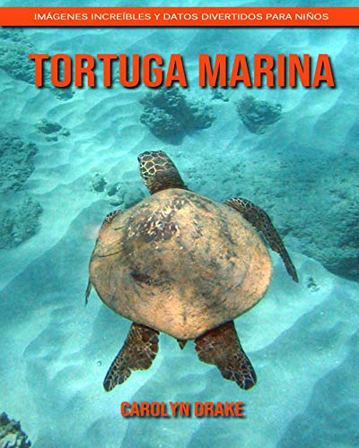 Tortuga marina: Imágenes increíbles y datos divertidos para niños