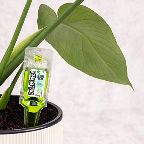 Undergreen by Compo Green Shot - Tratamiento para plantas verdes y palmeras, 5 ampollas de 30 ml, transparente