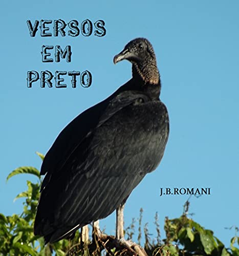 VERSOS EM PRETO: Ecos lógicos (Portuguese Edition)