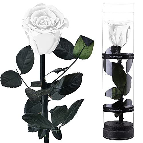 VUENICEE Rosa Eterna Natural,Flores Preservadas,Rosas Artificiales,Adecuado para Regalo San Valentin,Regalo Madre，Regalos Originales San Valentin,Regalo Aniversario，Regalo Cumpleaños (Blanco)