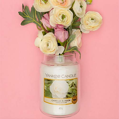 YANKEE CANDLE Tarro Grande | Camellia Blossom Vela aromática | hasta 150 Horas de combustión | Colección Garden Hideaway, Flor de Camelia, Large Jar Candle, 623