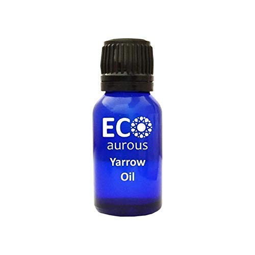 Yarrow Oil (Achillea Millefolium) 100% Natural, Organic, Vegan & Cruelty Free Yarrow Essential Oil | Pure Yarrow Oil By Eco Aurous (15 ml)