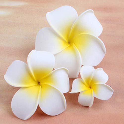 Yoowish 50 pétalos de flores artificiales de Frangipani Plumeria hawaiana para decoración de boda, color blanco