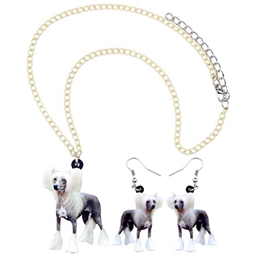 YYYSHOPP Pendiente Original Acrílico Moda China Crested Joyas De Perro Conjunto Pendientes Collar Animal Venta Al por Mayor Mujeres Girls Fiesta Regalos (Color : Multicolor)