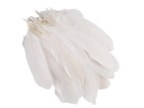 100 plumas de ganso blanco puro de 15 a 9 pulgadas de color blanco puro, accesorios de manualidades para manualidades de jardín de infancia grandes plumas para el hogar, bodas