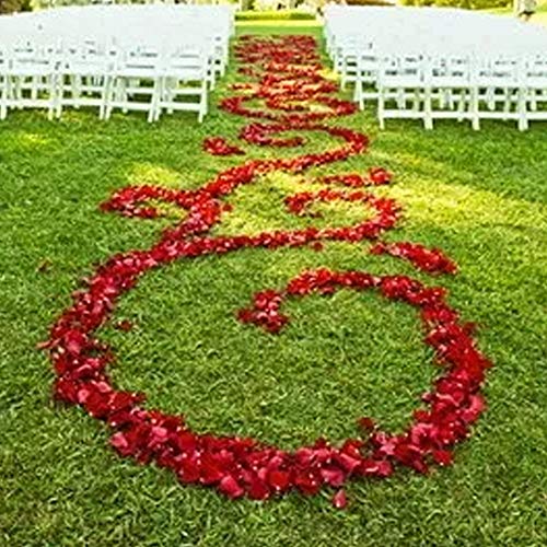 1200 piezas de pétalos de rosa pétalos de flores de seda artificial para mesa de confeti decoración de pétalos de boda para el día de san valentín (1200 piezas de pétalos de rosa (rojo))