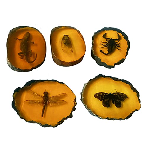 ABCCS 3pcs Insectos Reales,Colgante de ámbar,Insecto fósil ámbar Muestra de Insecto ámbar Artificial Colgante Mariposa Escorpiones Insectos Ornamento de Piedra ámbar para colección (Mariposa)