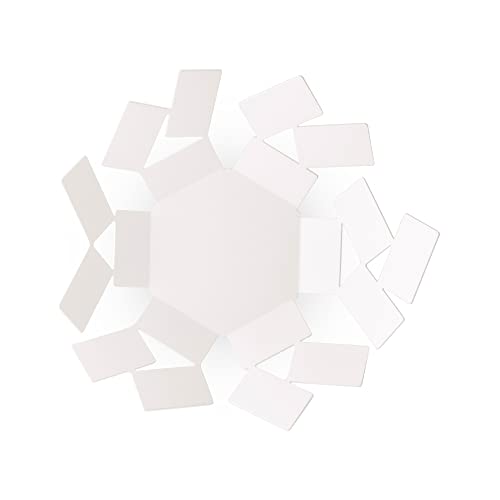 Alessi Stanza dello Scirocco MT01 WI-Frutero en Acero Resina epoxi, Marfil Color Exclusivo de Amazon, Blanco Crema, Talla única