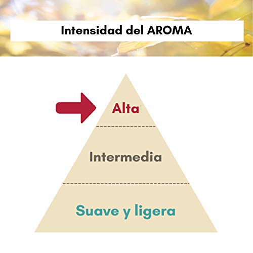 AMBICAR - Ambientador eléctrico para COCHE. Pack Insilver Nº3 (Difusor+Recambio FRUTOS ROJOS +Bolsa Ecológica) Esencia Natural, SIN Alcohol ni Químicos. Fragancia fresa + bolsita para guardar cosas