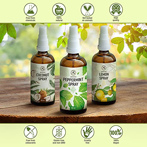 Ambientador Pulverizador con Aceite Esencial de Menta 100ml - Perfumador Hogar - Perfume de Interior - Fragancia Menta - Spray Almohada - Ambientador Armario Ropa - Perfumador Spray