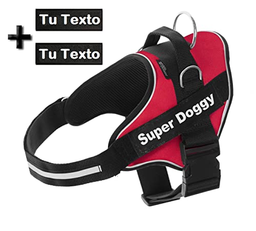 Arnes Personalizado para Perros Reflectante - Incluye 2 Etiquetas con Nombre - Tamaño Pequeño, Mediano y Grande - De Calidad y Resistente (S 6-14KG, Rojo)