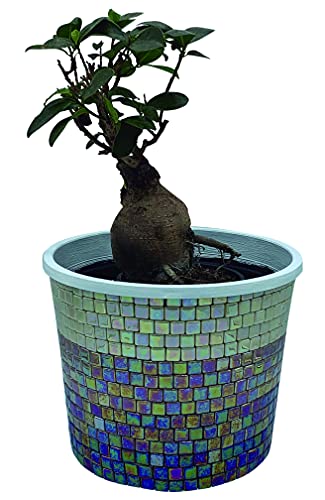 ATELIER MOSAICS TESELAS SUELTAS 1 X 1 GRAFITO 1,5KG