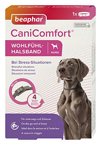 Beaphar CaniComfort Collar cómodo para Perros con feromonas para situaciones de estrés