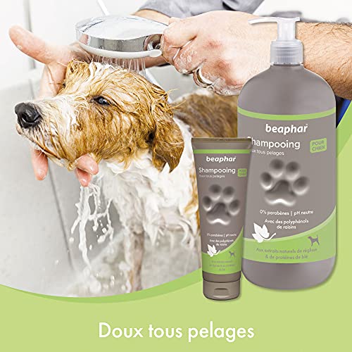 Beaphar Champú Alta Cosmética Perros Todo Tipo de Pelo, Un tamaño 250 ml 250 ml