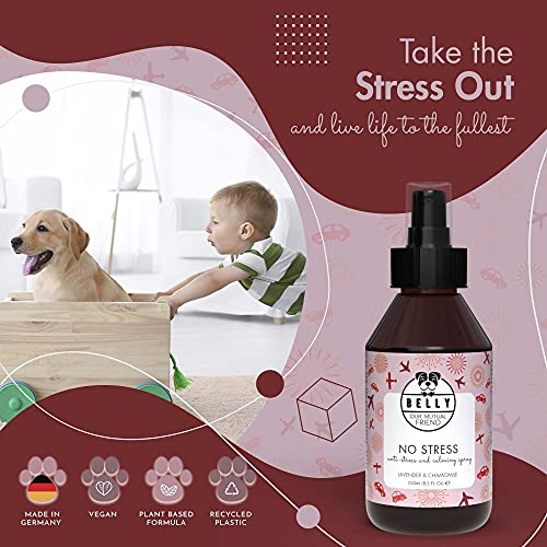 BELLY Spray Tranquilizante para Perros - Spray Relajante Perros, Ideal para Viajes - Spray Tranquilizante Perro, Ayuda a Reducir Estrés - Alternativa Natural a Pastillas y Feromonas para Perros, 250ml