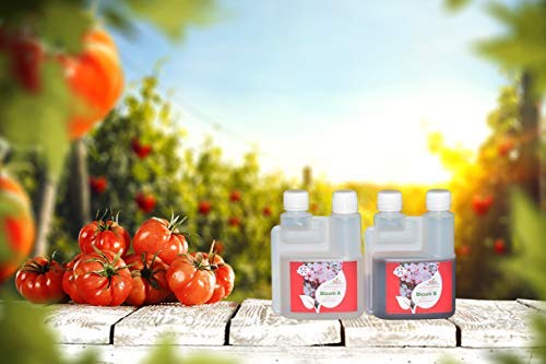 Bio Technology® | Fertilizante de Floración de Calidad | Fertilizante de Floración Universal | Gran Rendimiento y Aroma Bloom A + B - 250 ML