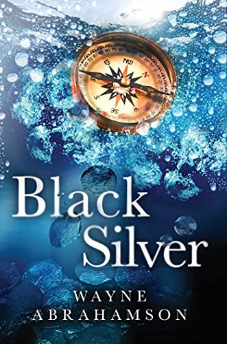 Black Silver (English Edition)