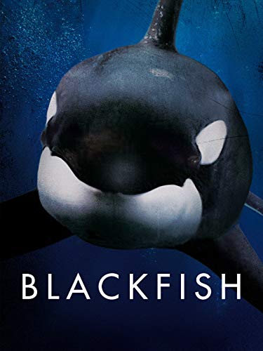 Blackfish