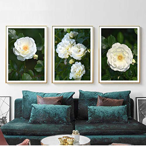 Blanriguelo Impresión en Lienzo Flor de Camelia Blanca Imágenes de Hojas Verdes Arte de la Pared Obras de Arte Carteles Sala de Estar Cocina Decoración para el hogar 27.5"x35.4 (70x90cm) Sin Marco