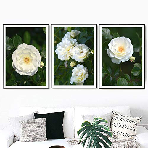 Blanriguelo Impresión en Lienzo Flor de Camelia Blanca Imágenes de Hojas Verdes Arte de la Pared Obras de Arte Carteles Sala de Estar Cocina Decoración para el hogar 27.5"x35.4 (70x90cm) Sin Marco