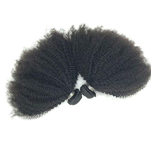 Brazilian Afro Kinky Curly Human Hair 8-22inch 4B4C 1 Bundle 100g Cabello humano rizado afroamericano rizado (1 bundle 12inch, natural black)