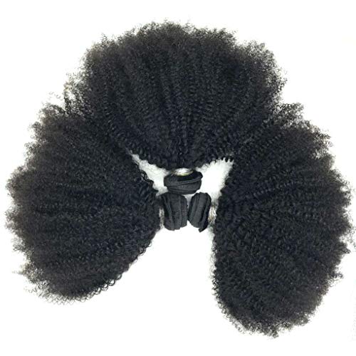 Brazilian Afro Kinky Curly Human Hair 8-22inch 4B4C 1 Bundle 100g Cabello humano rizado afroamericano rizado (1 bundle 12inch, natural black)
