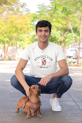 Camiseta de Hombre Manga Corta 100% algodón Modelo Polo Bandera de España (Blanco, L, l)