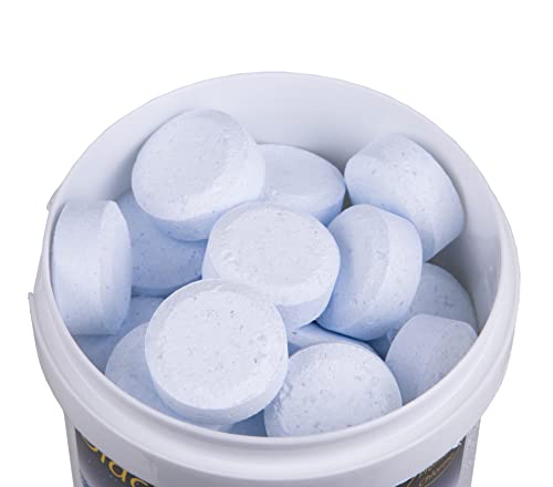 Cloro Piscinas Pequeñas DIACLOR Multi 5 ACCIONES 1 KG - 50 Pastillas de Cloro Lento (20 gr - 3 cm Diámetro) - Tratamiento Completo Multiacción - SIN Cobre - Nueva FÓRMULA 100% Segura