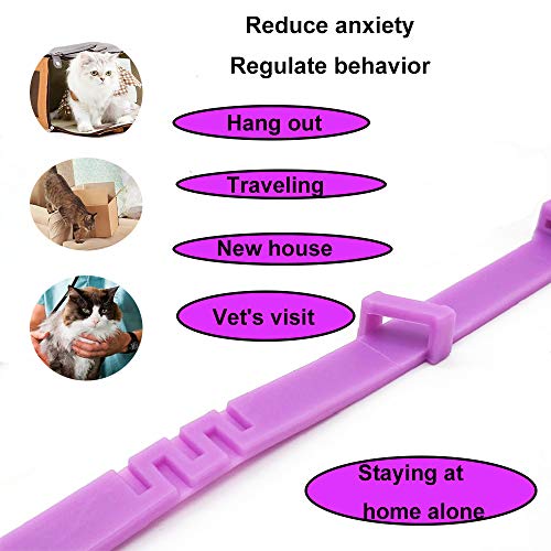 Collar calmante para perros y gatos, collar anti ansiedad con tamaño ajustable, seguro natural, resistente al agua, efecto calmante de larga duración, alivio de ansiedad de gato y perro(Pequeño)