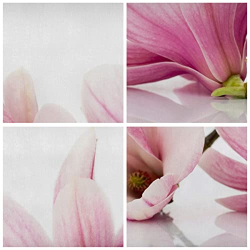 Cuadro sobre lienzo - Impresión de Imagen - Magnolia flor naturaleza planta - 70x50cm - Imagen Impresión - Cuadros Decoracion - Impresión en lienzo - Cuadros Modernos - AA70x50-2641