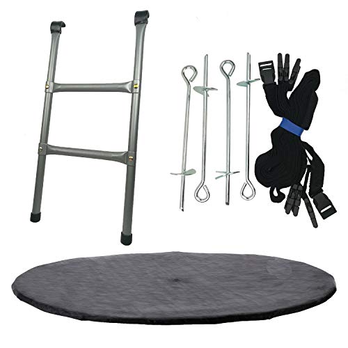 CZON SPORTS 250 cm Escalera + Tapa de Limpieza + Kit de Anclaje, Unisex-Youth, Metal Gris/Negro