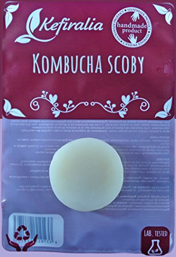 Disco SCOBY Kombucha + Instrucciones + Recetas + Ayuda y Asesoramiento en español - KEFIRALIA®