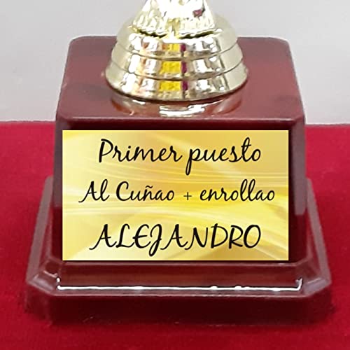 Estatuilla Tipo Óscar para Personalizar y Regalar en Ocasiones Especiales, Trofeo Personalizado. Med.22 cm