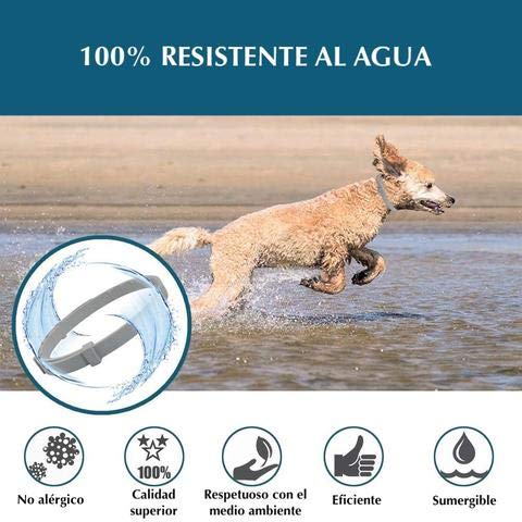 Fallcon Collar Antiparasitos Perros Natural contra Pulgas,Garrapatas y Mosquitos,Tamaño Ajustable e Impermeable para Mascota Pequeño Mediano Grandes