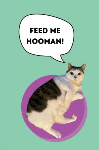 Feed Me Hooman Funny Cat Journal Retro Green 6x9: Small Notebook