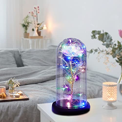 Gohytal Regalos San Valentin Mujer, Rosa Bella y Bestia Elegante Cúpula de Cristal con Base Luces LED Regalos Originales para Novia, Mamá, Día de la Madre, Día de San Valentín, Aniversario, Cumpleaños