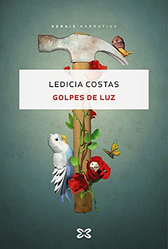 Golpes de luz (EDICIÓN LITERARIA - NARRATIVA E-book) (Galician Edition)