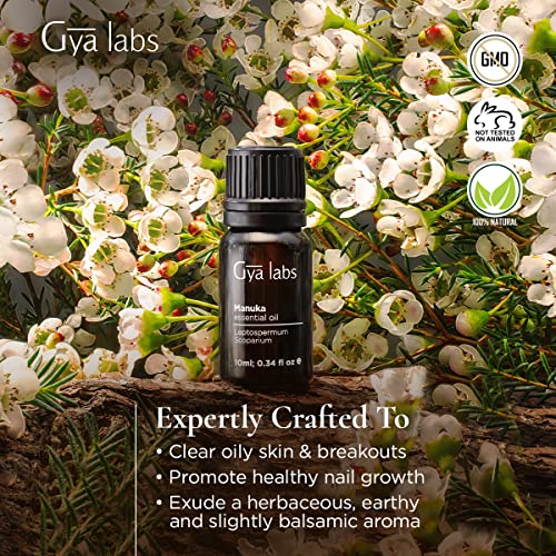 Gya Labs Aceite Esencial de Manuka para Uñas Sanas - Aceite de Manuka Puro para Piel Grasa - 100 Natural Aceites Esenciales para Difusor Aromaterapia - 10ml